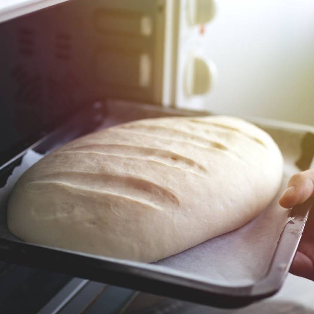 pan sin gluten receta horno