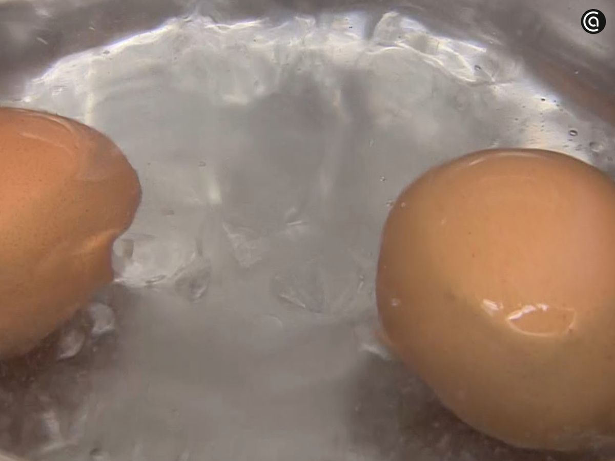 Cuece los huevos y resérvalos para el relleno