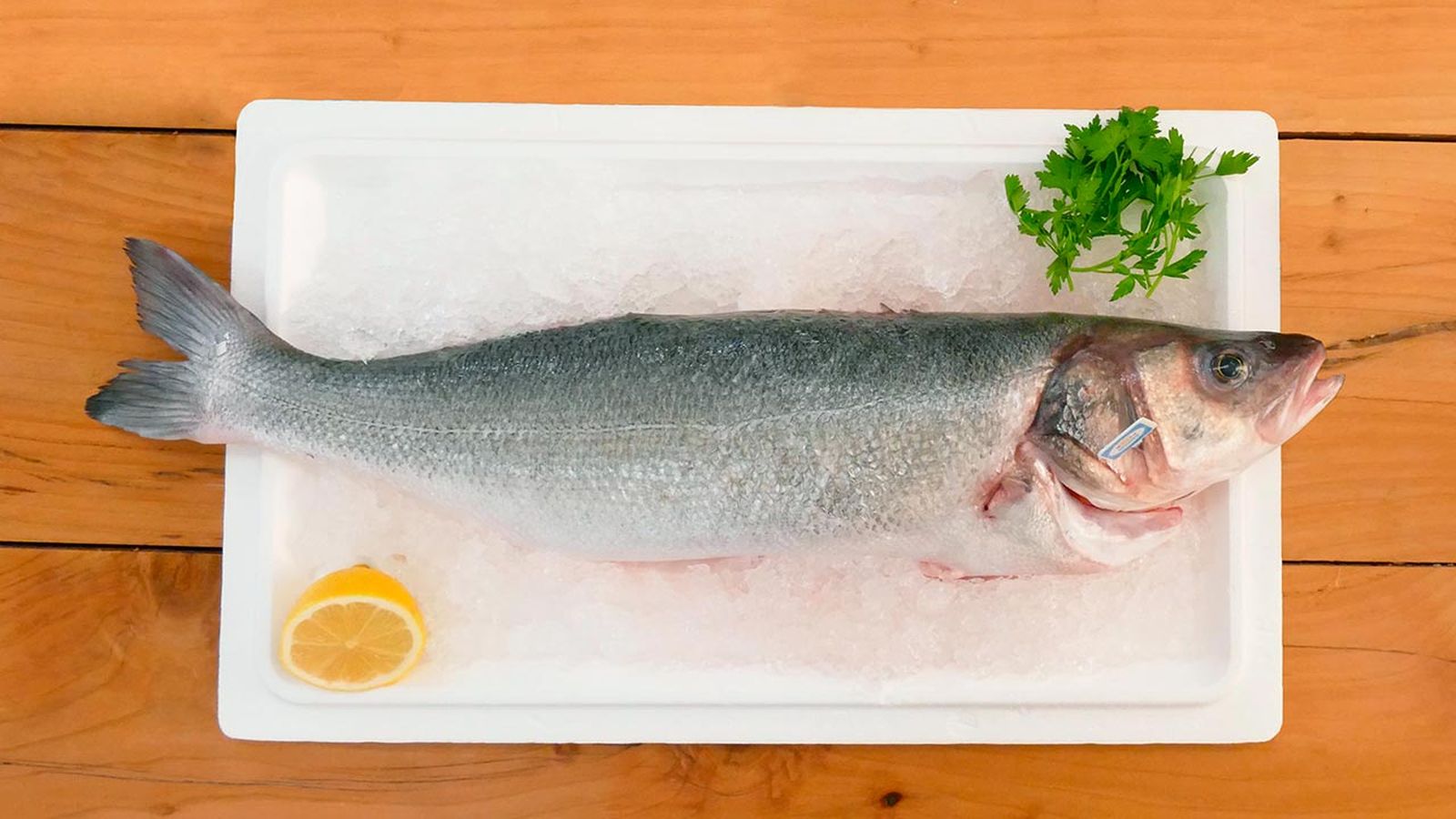 Artículo sobre lubina, pescado blanco bajo en grasa pescado Artículo sobre lubina, pescado blanco bajo en grasa pescado