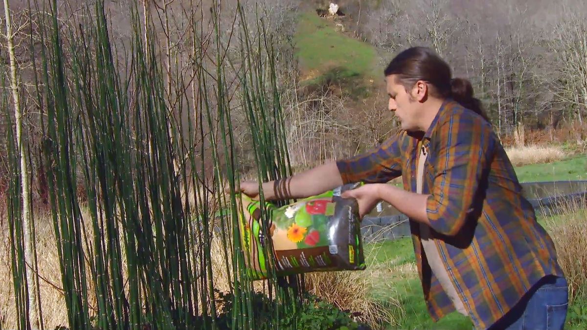 decogarden 0648 jardineria poda cola caballo abono