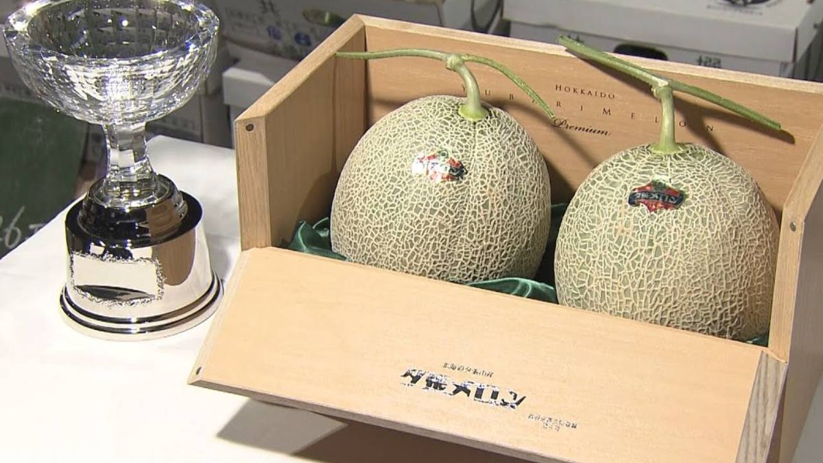 Melones Yubari, los más caros del mundo