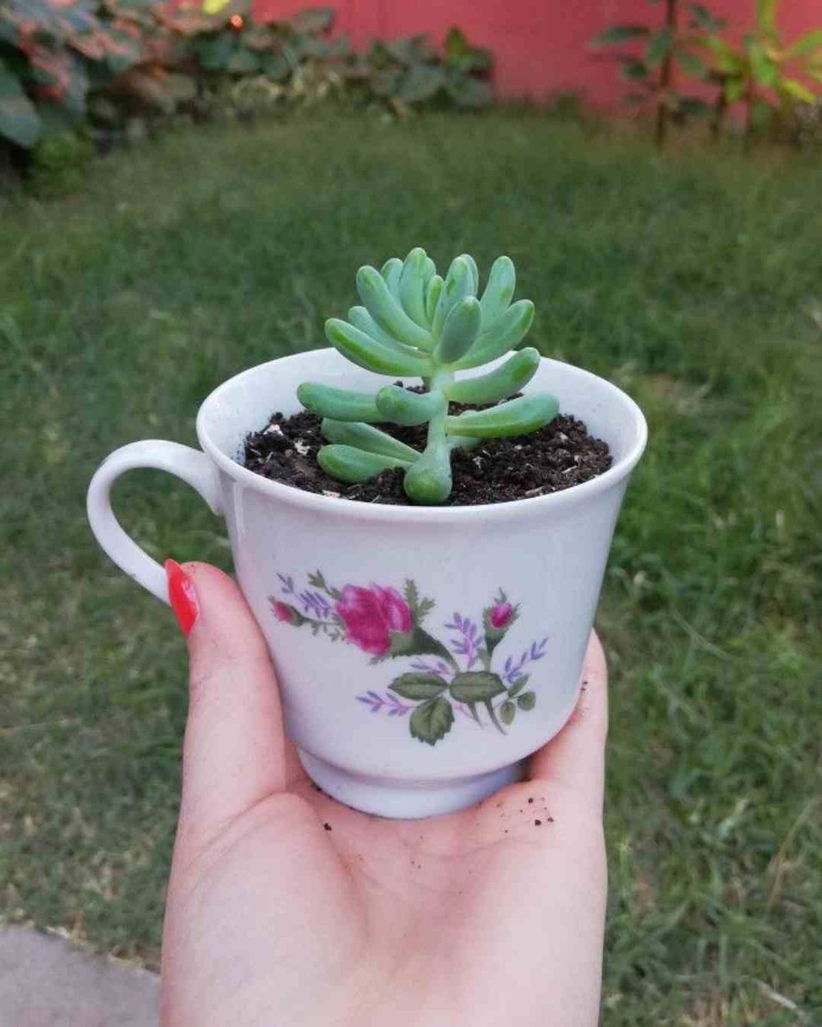 ideas para reutilizar tazas maceteros