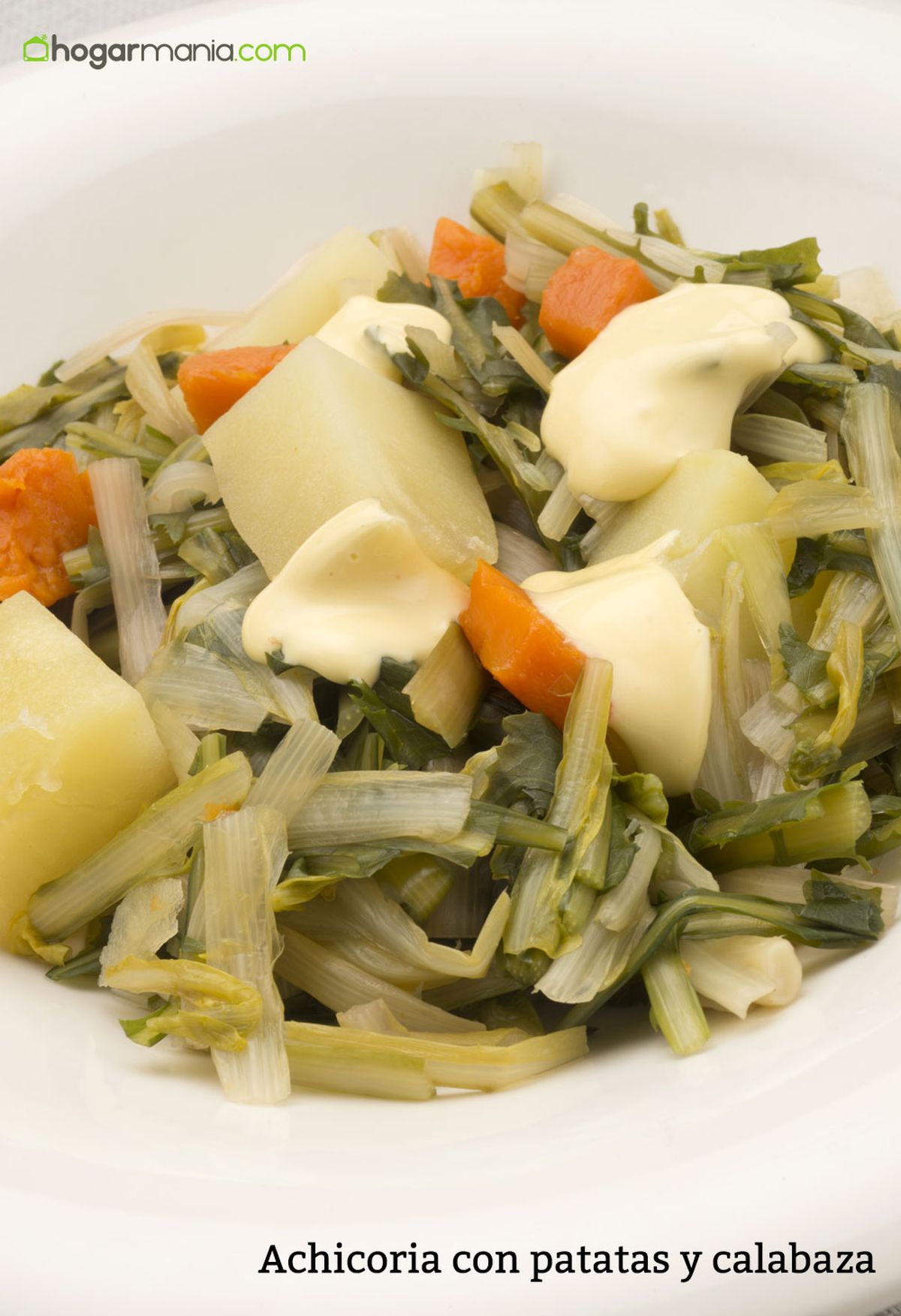 6110 1 Achicoria con patatas y calabaza vertical xl