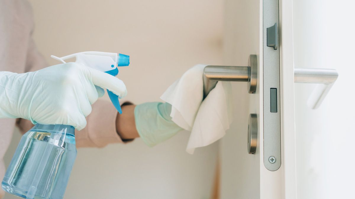 ocho usos del aceite de arbol de te que debes conocer1