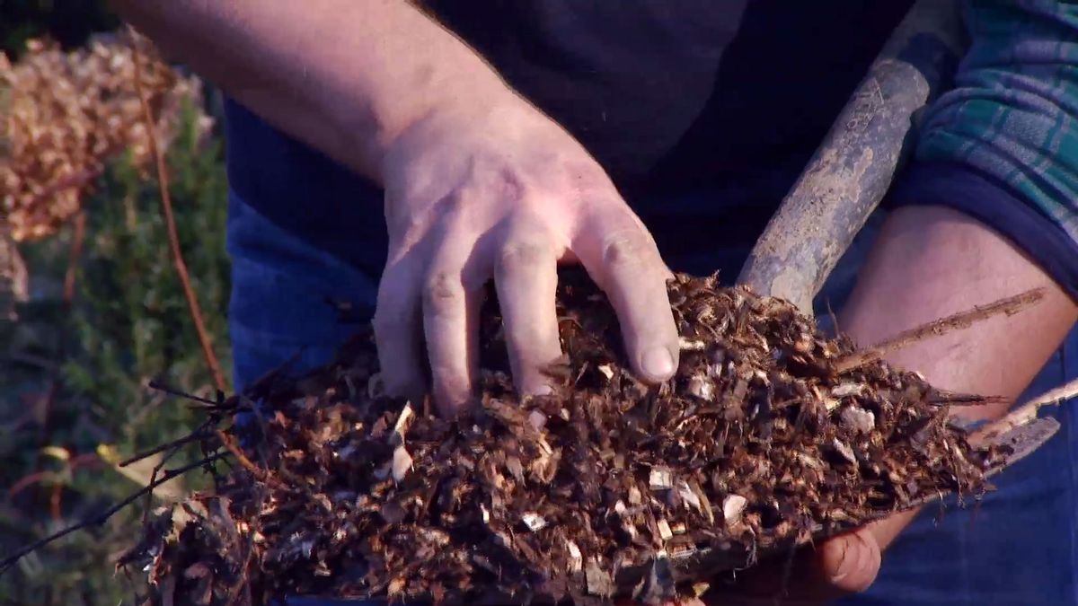 deco 0641 acolchado tipos variedades rama triturada