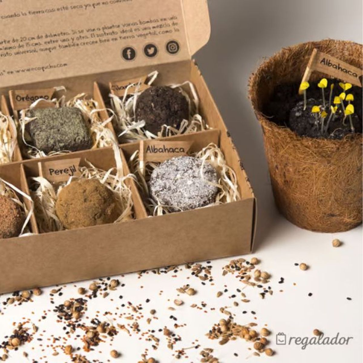 bombras de semillas elregalador