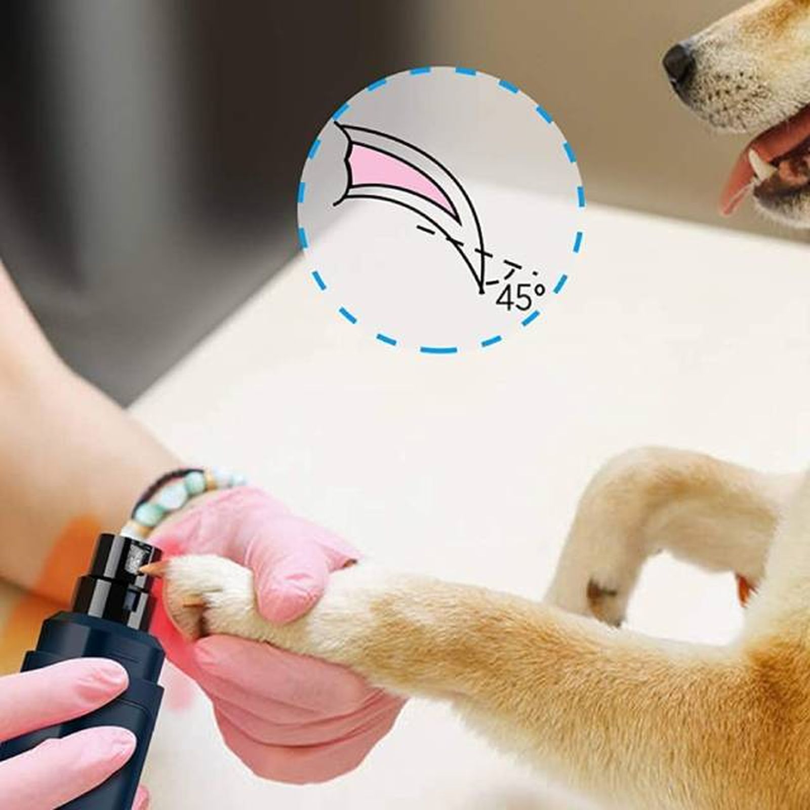 lima electrica para perros y gatos corte seguro angulo 45 grados Casfuy Amazon lima electrica para perros y gatos corte seguro angulo 45 grados Casfuy Amazon