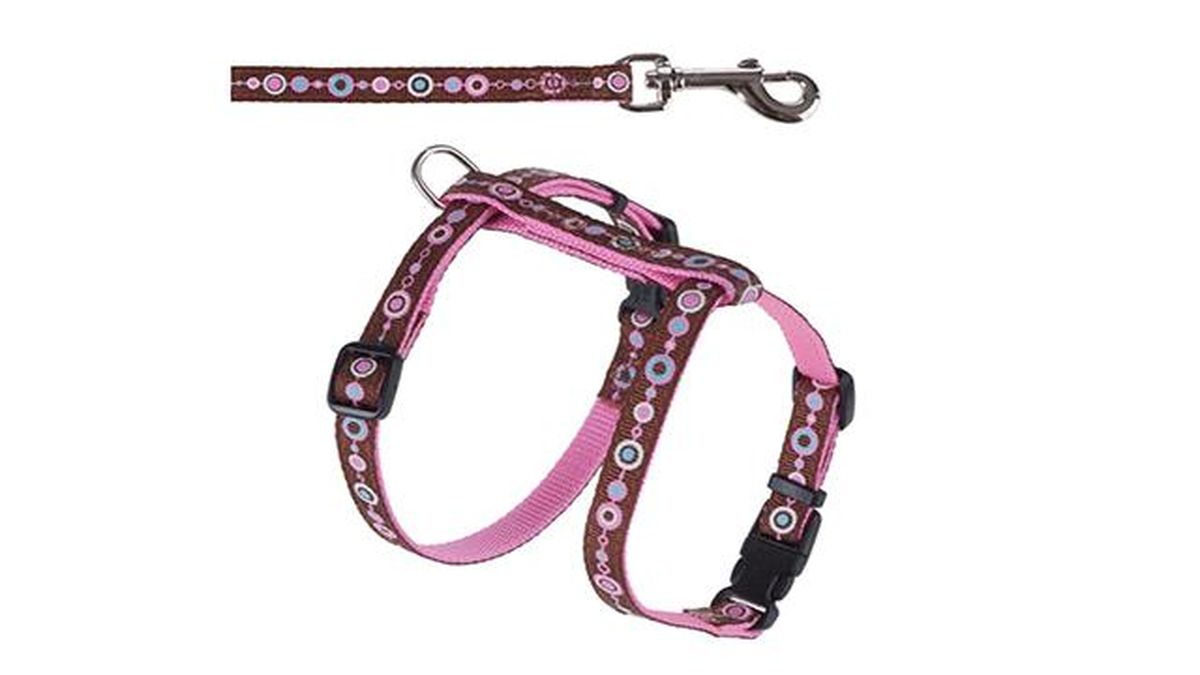 arnes para gatos zooplus