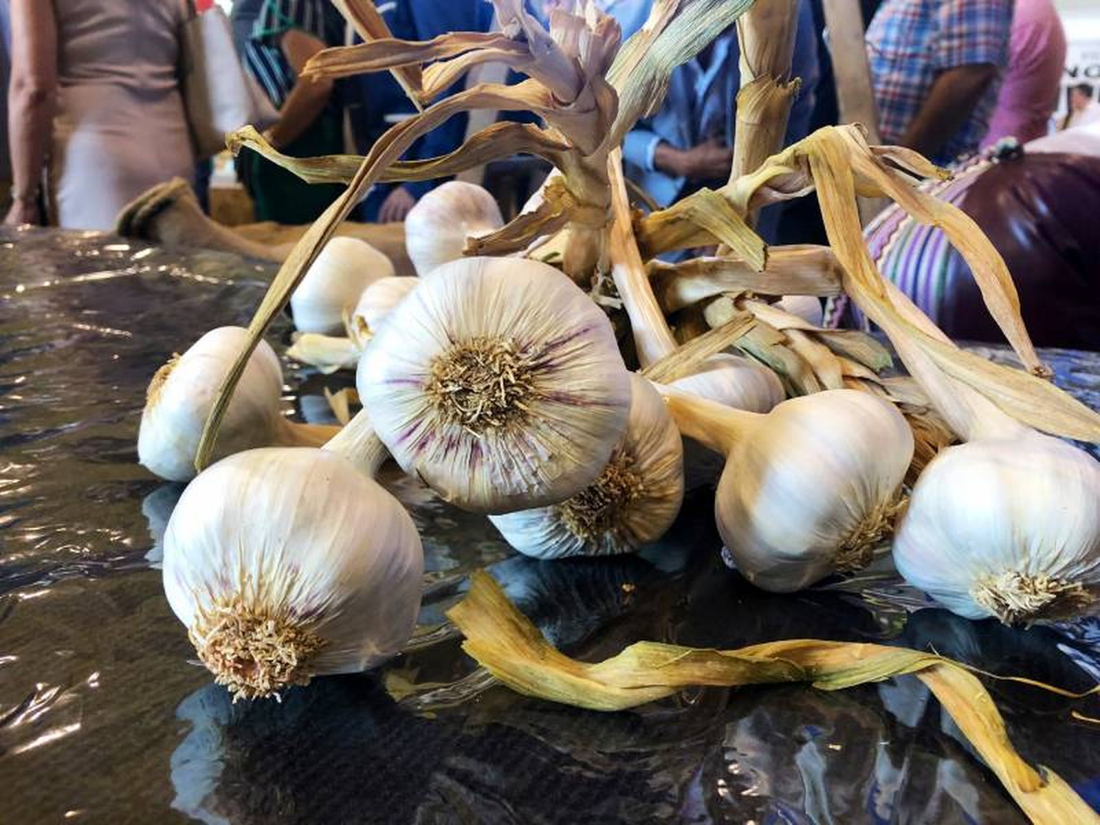 Feria Internacional del Ajo de Las Pedroñeras