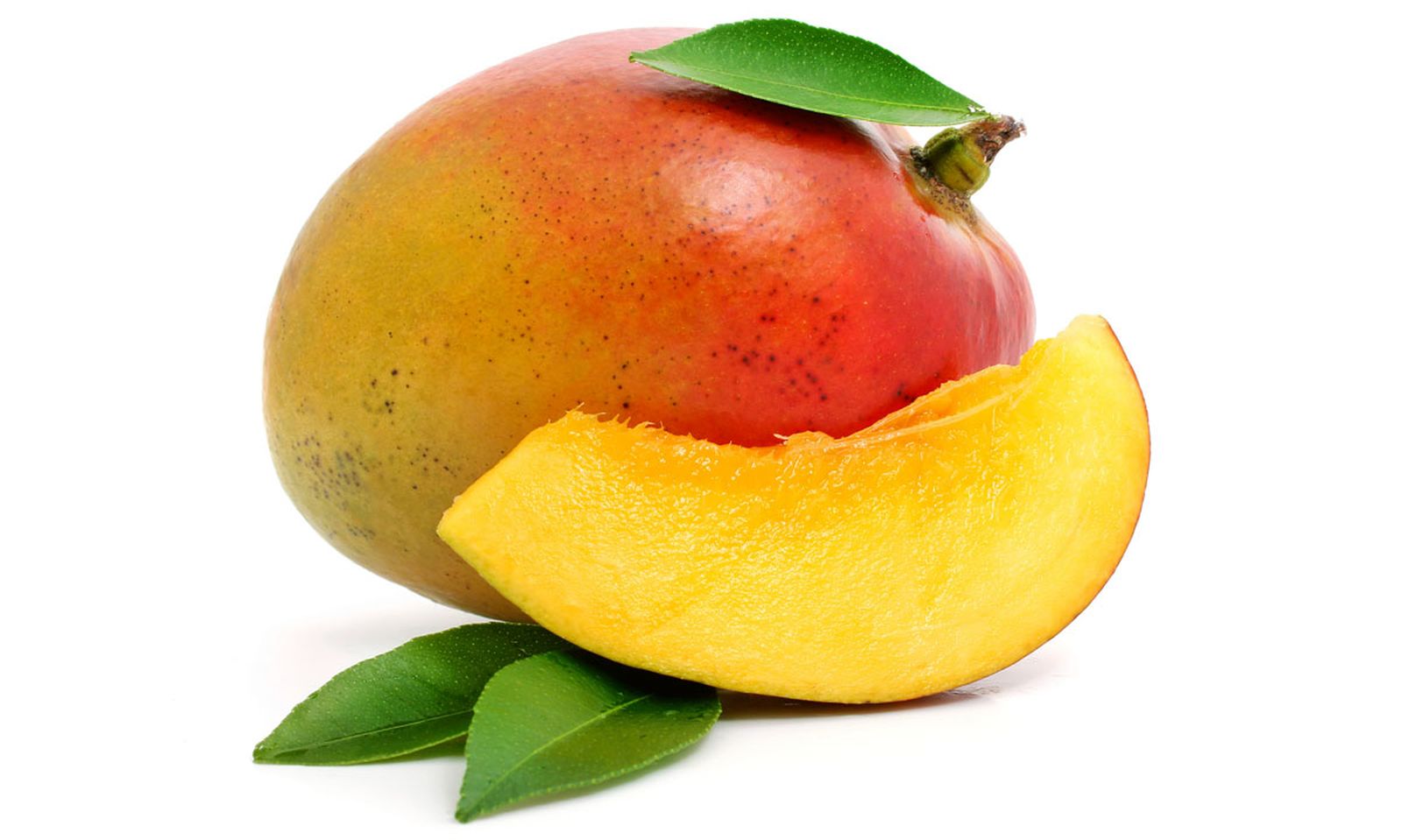 mango xl mango xl