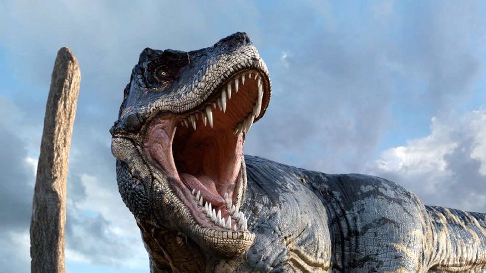 como eran los dinosaurios 7 como eran los dinosaurios 7
