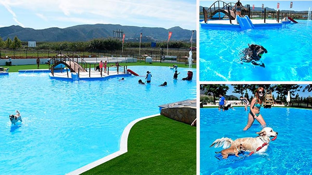 planes perros verano 2 aquapark canino
