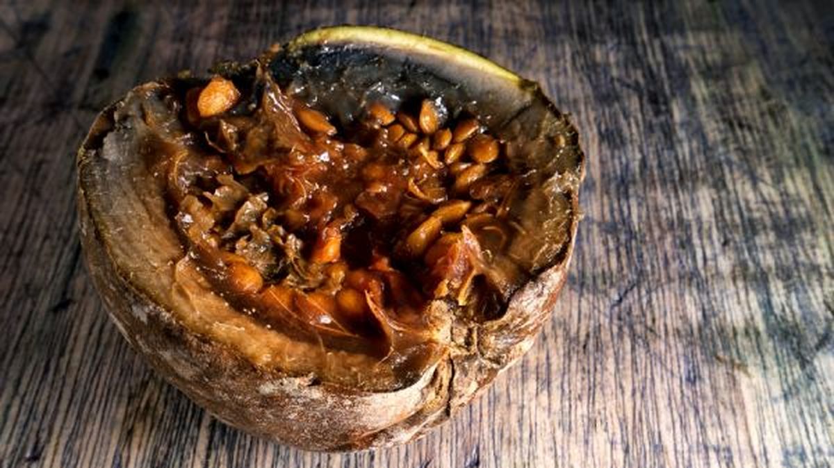 Frutas exóticas- borojo