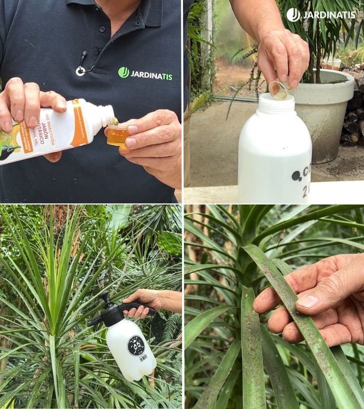 Paso a paso para usar el jabón potásico sobre una pata de elefante