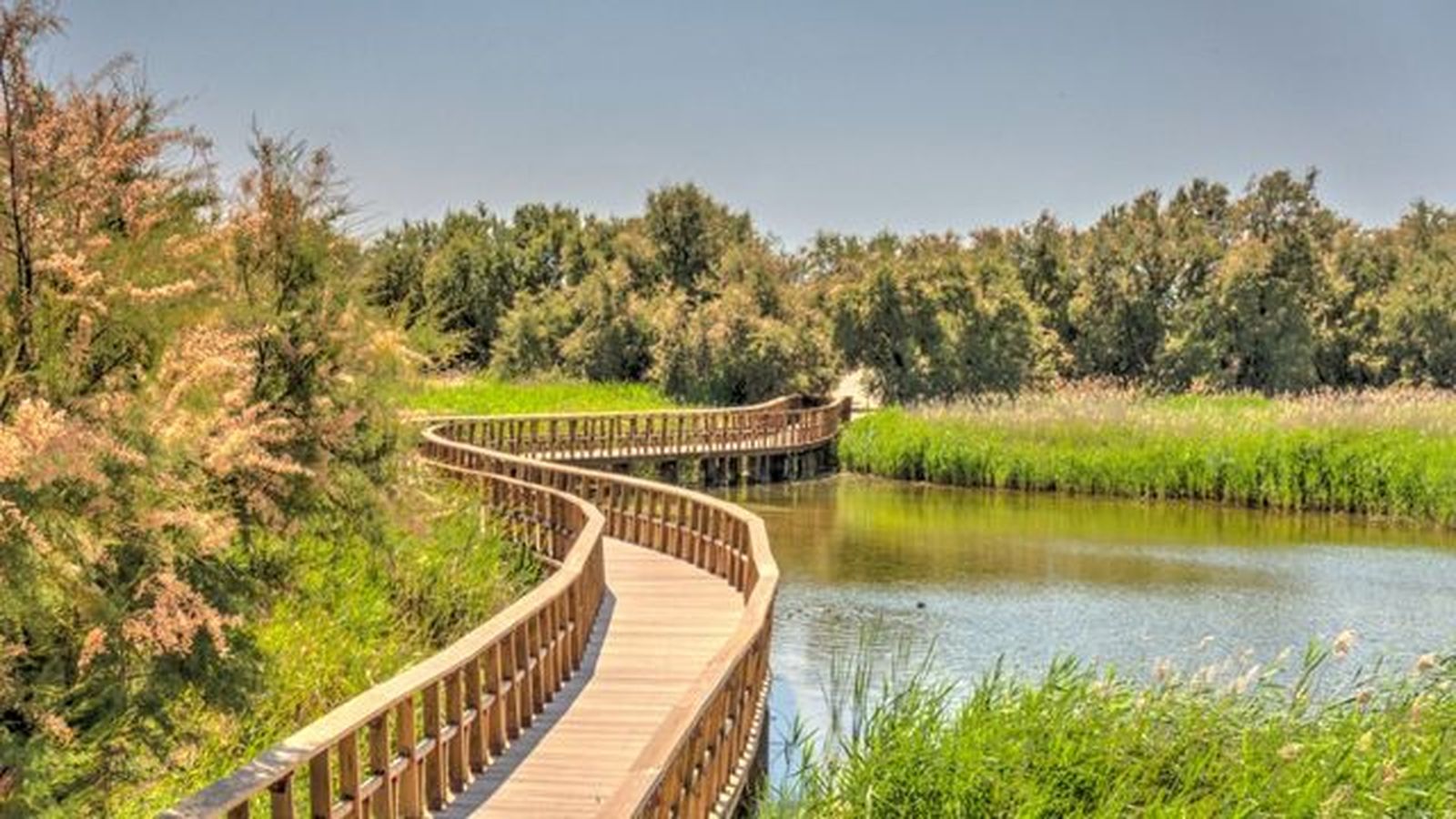 tablas de daimiel tablas de daimiel