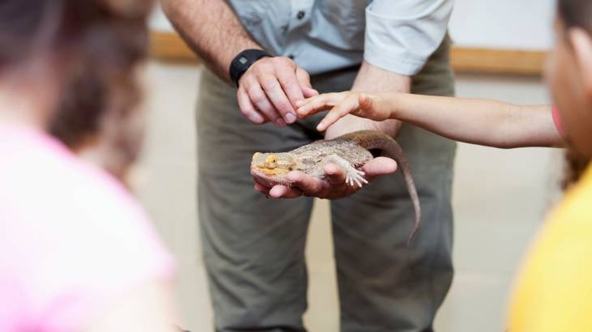 Profesor enseñando un pequeño reptil a sus alumnos en un aula