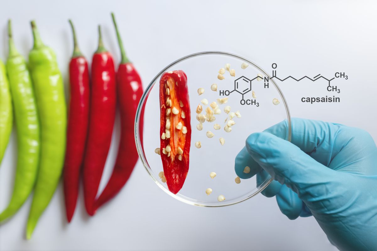La capsaicina es la molécula responsable de que los pimientos piquen