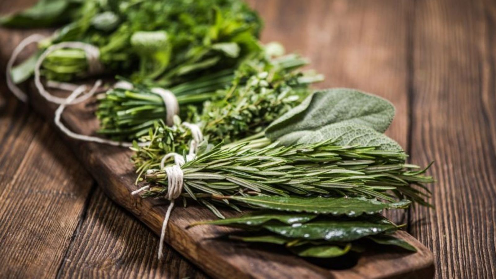 hierbas aromaticas
