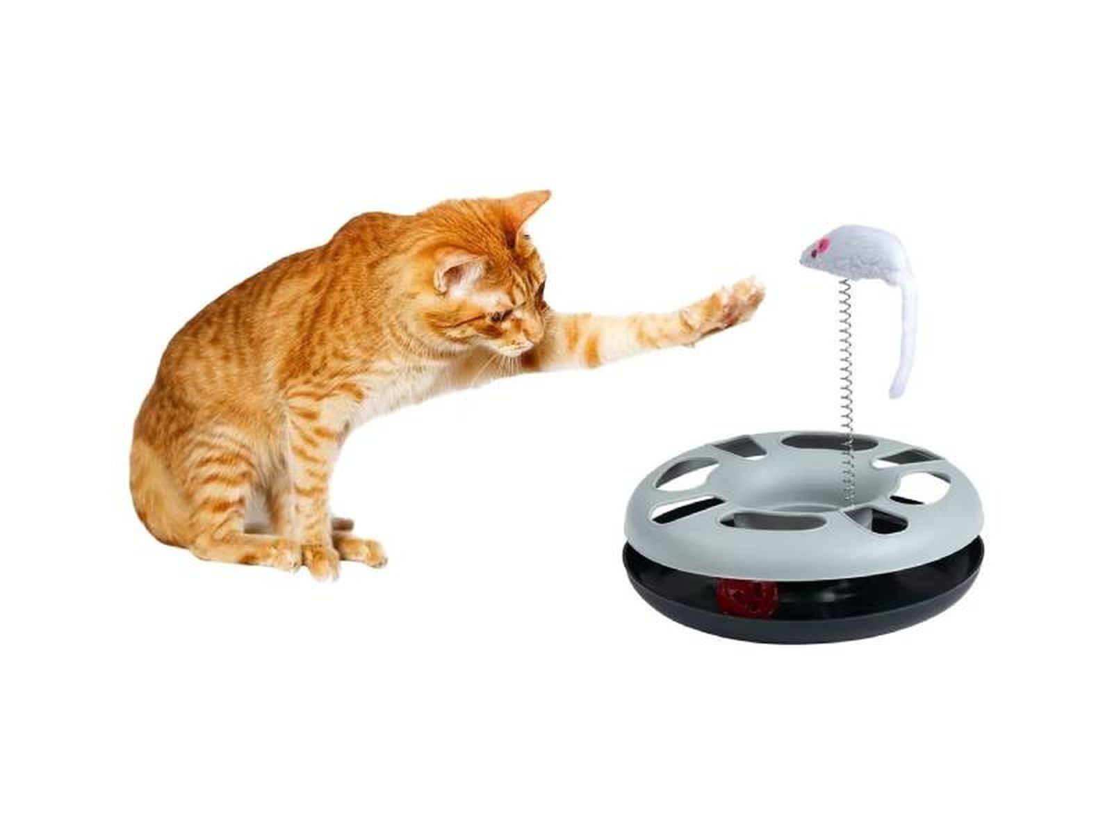Juego de inteligencia para gatos de Lidl. Juego de inteligencia para gatos de Lidl.