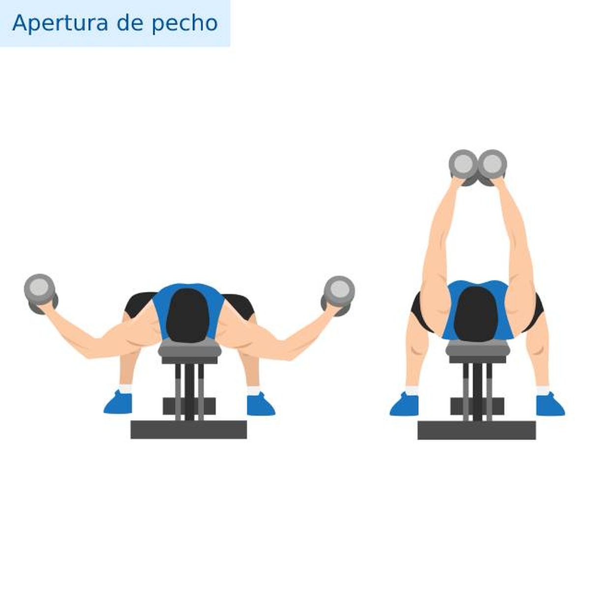ejercicios para tonificar pecho con mancuerna apertura de pecho