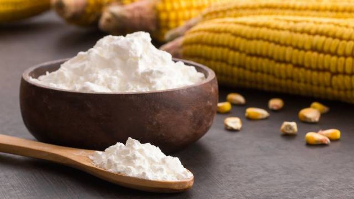 truco para desenredar quitar nudos pelo perros con maicena harina de maiz