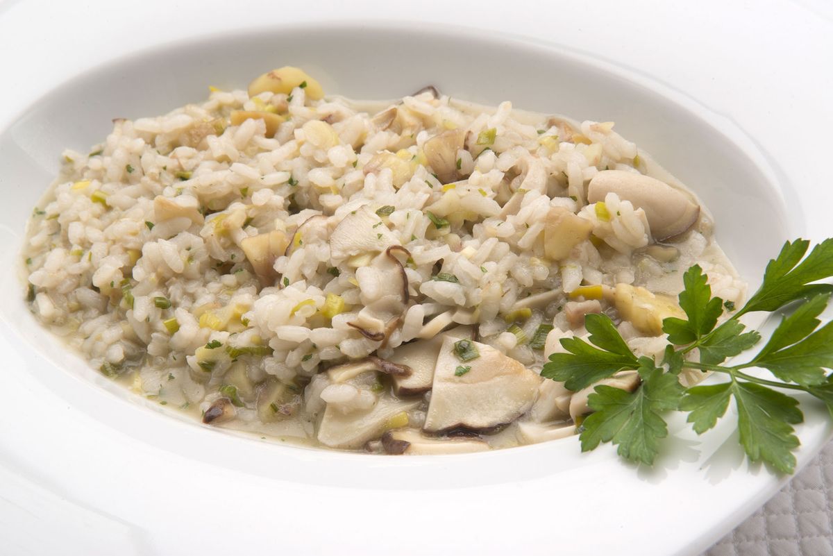 6063 1 Arroz de otoño xl