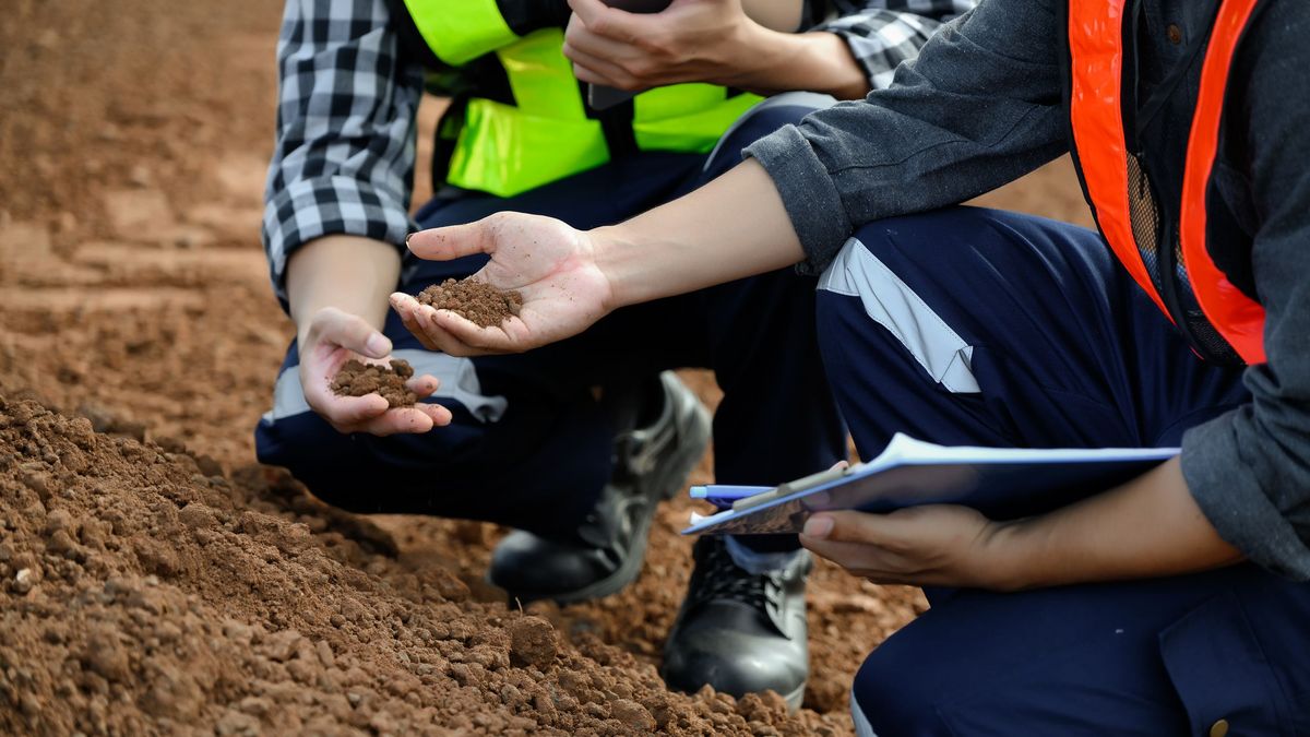 No siempre es fácil reconocer un suelo fértil de uno empobrecido
