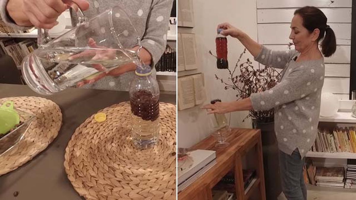 como hacer fertilizante de plantas con cafe la botica