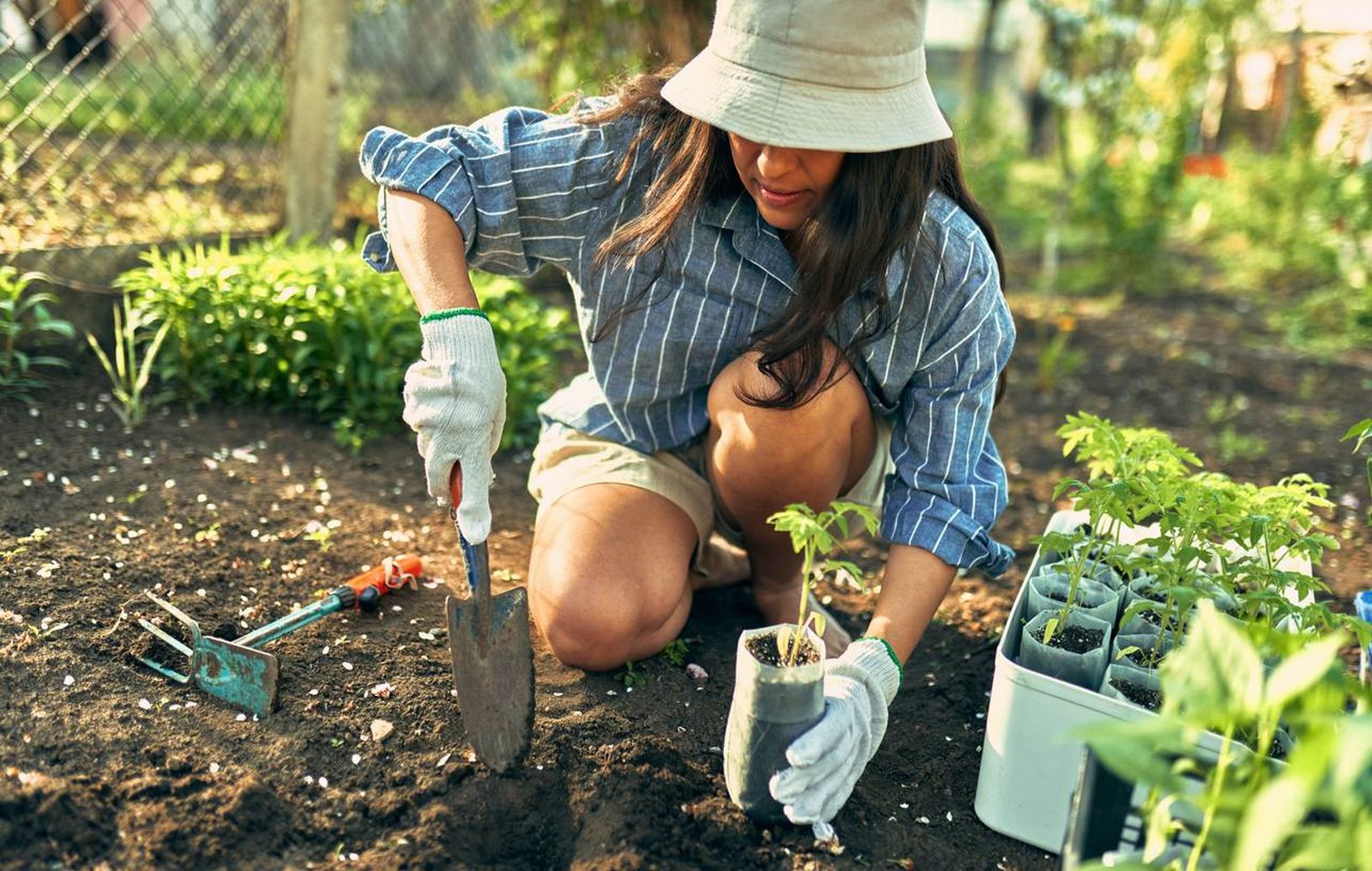 tendencias jardineria 2024