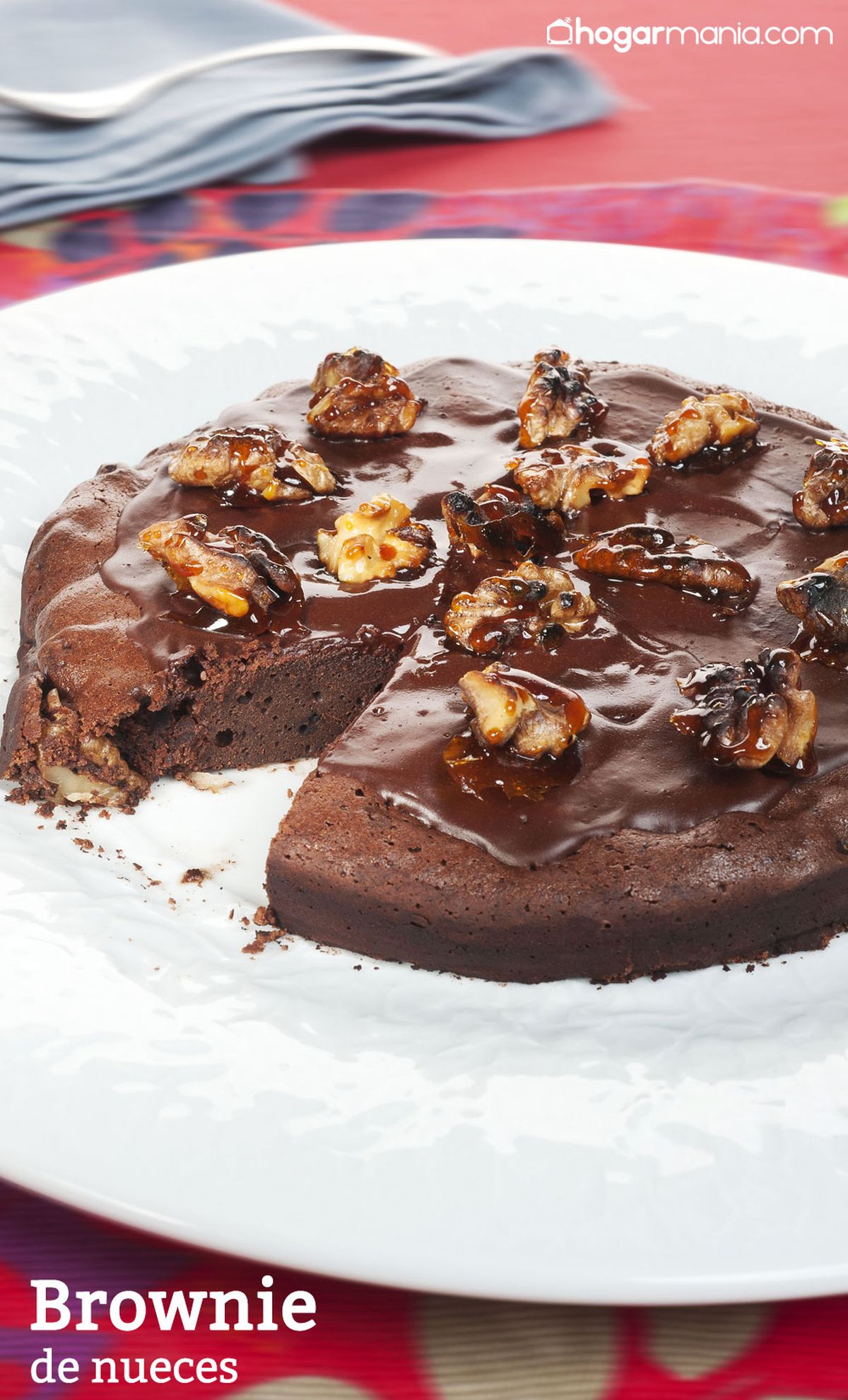 CABI0013 Joseba Brownie de nueces vertical xl