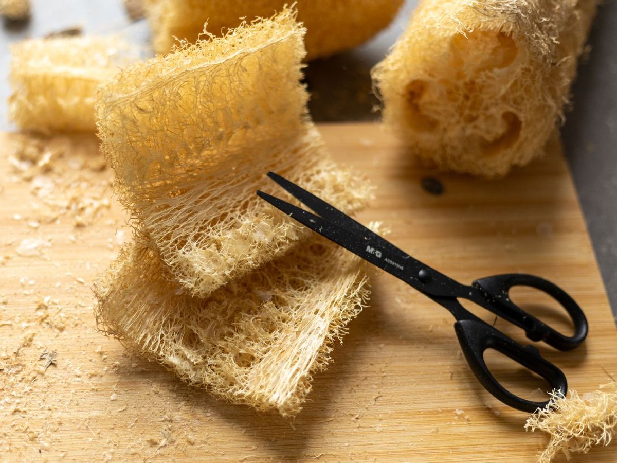 Lufa como epsonja natural