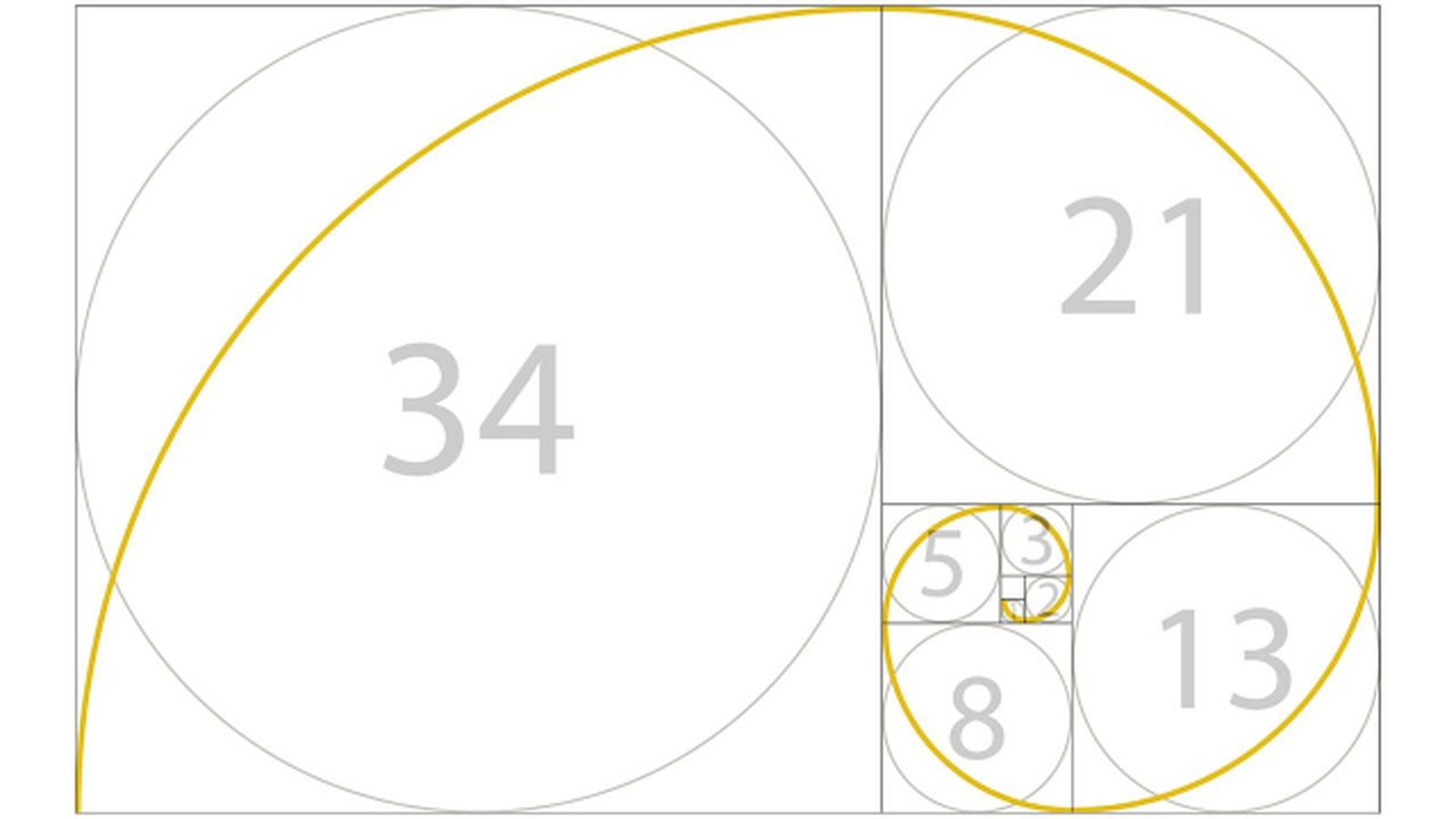 espiral dorada (1) espiral dorada (1)