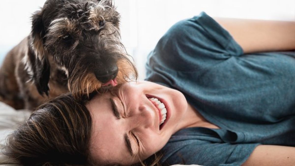 por que lamen los perros 10