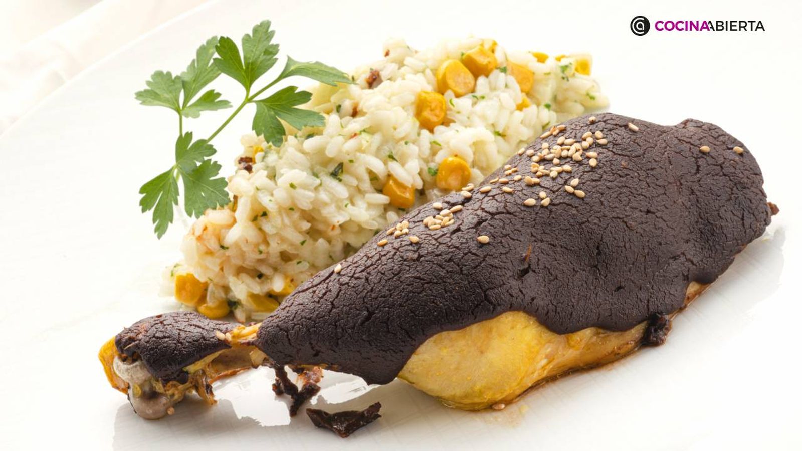 pollo con mole rojo