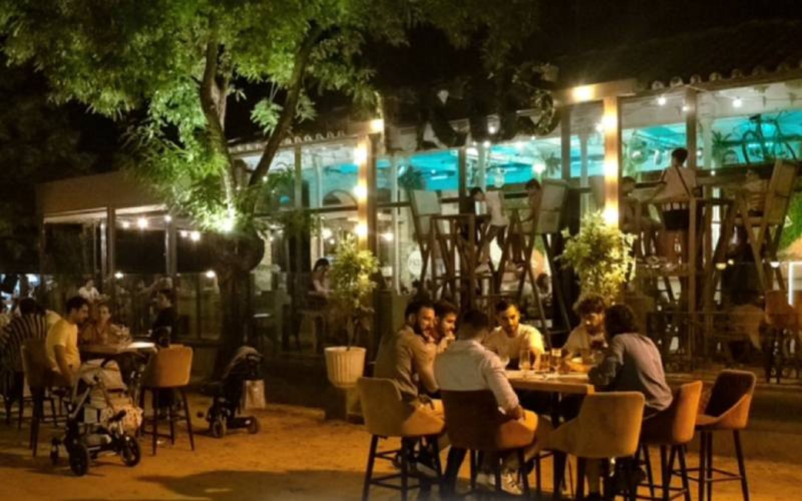 Ficus Food & Music tiene mesas y sillas de más de dos metros de altura Ficus Food & Music tiene mesas y sillas de más de dos metros de altura