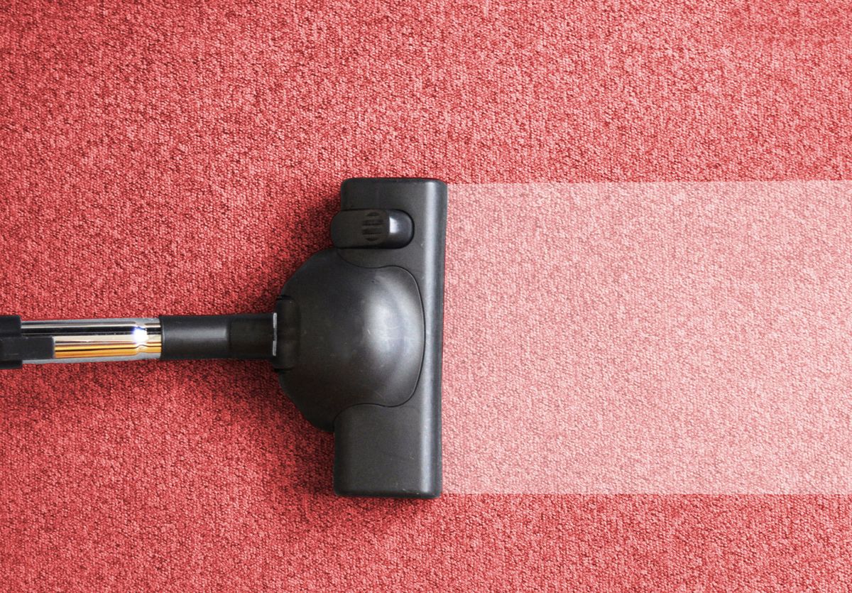 aspirar alfombras moquetas xl