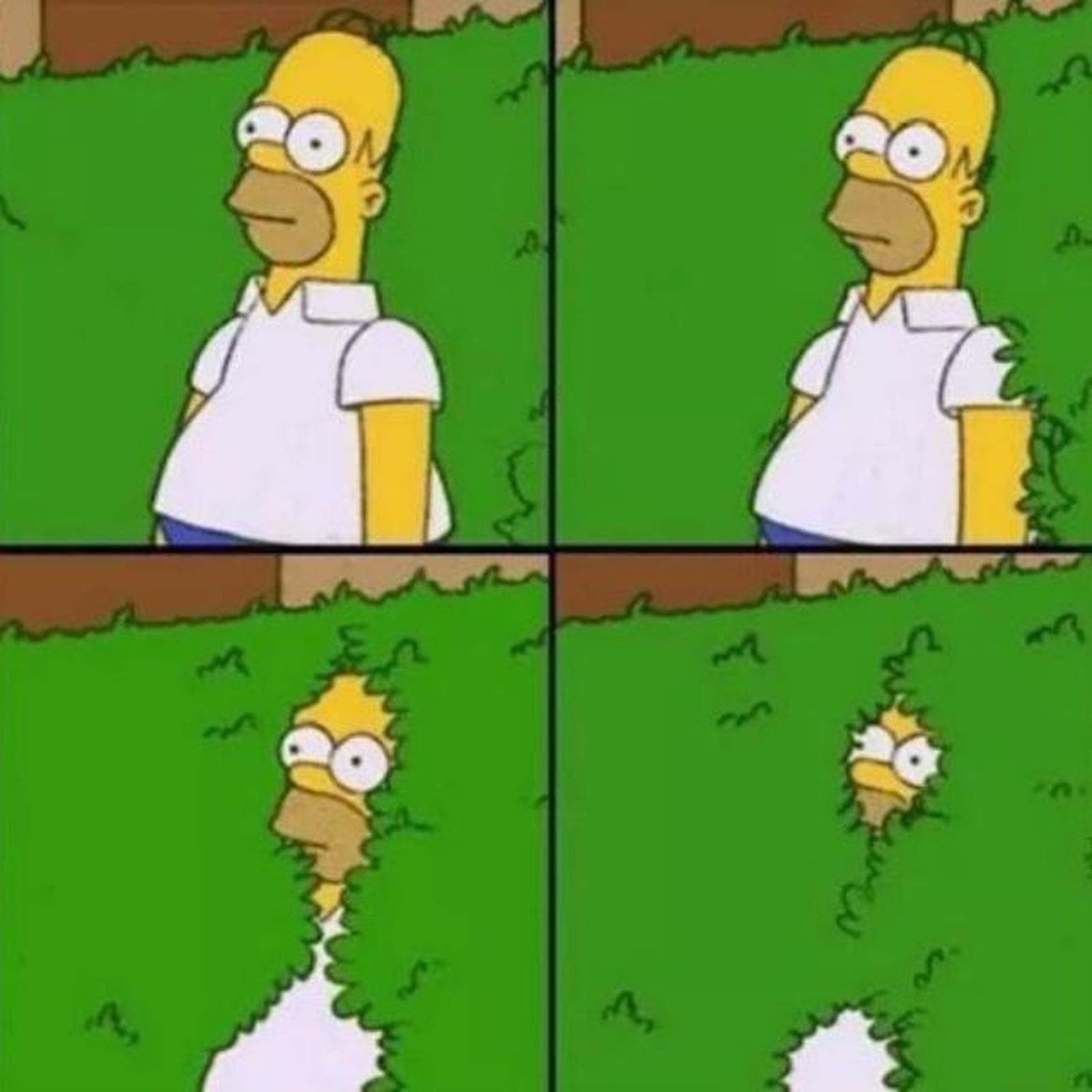 Homer escondiéndose entre los setos / Foto Pinterest: @sarameyalli Homer escondiéndose entre los setos / Foto Pinterest: @sarameyalli