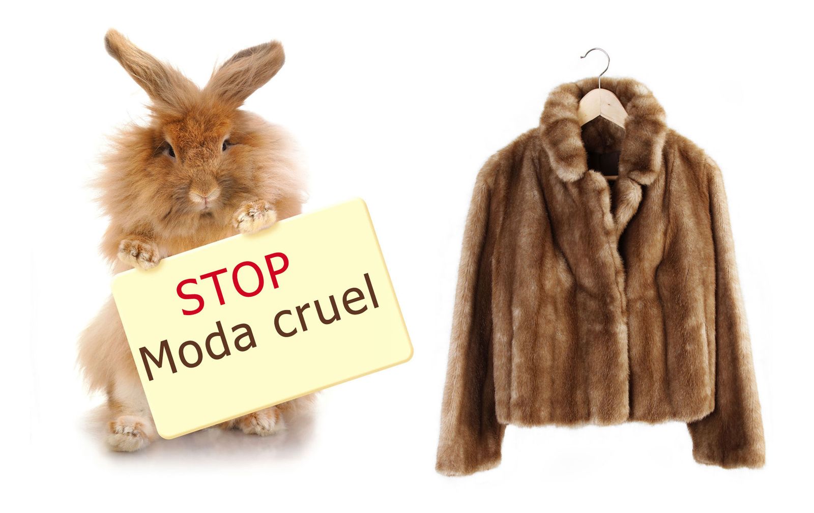 stop ropa cruel animal stop ropa cruel animal