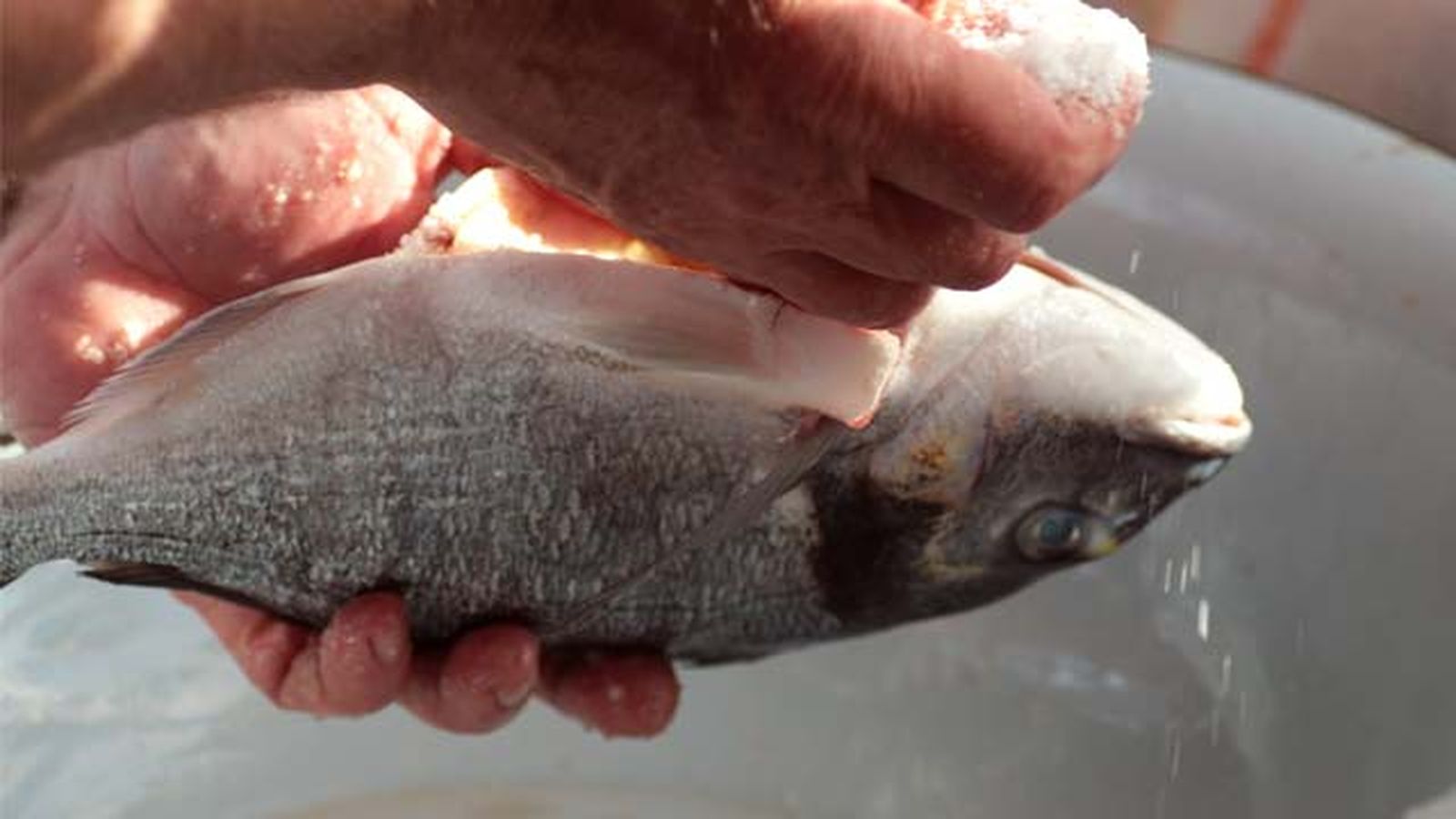 limpiar una dorada limpiar una dorada