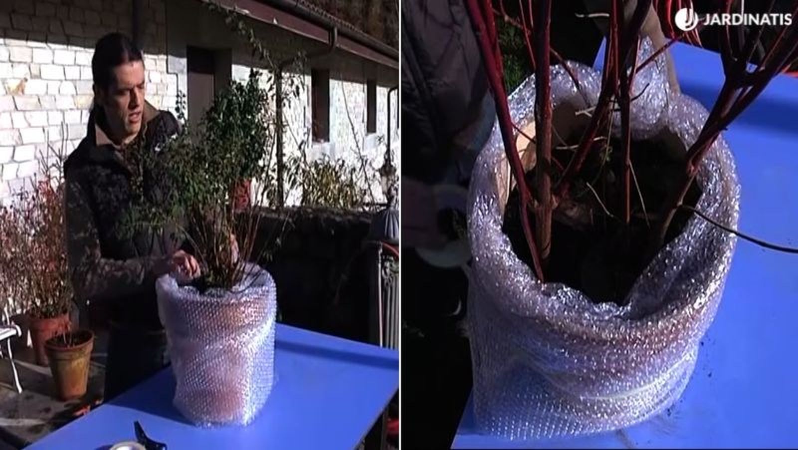 Aislamiento de los tiestos con plástico de burbujas Aislamiento de los tiestos con plástico de burbujas