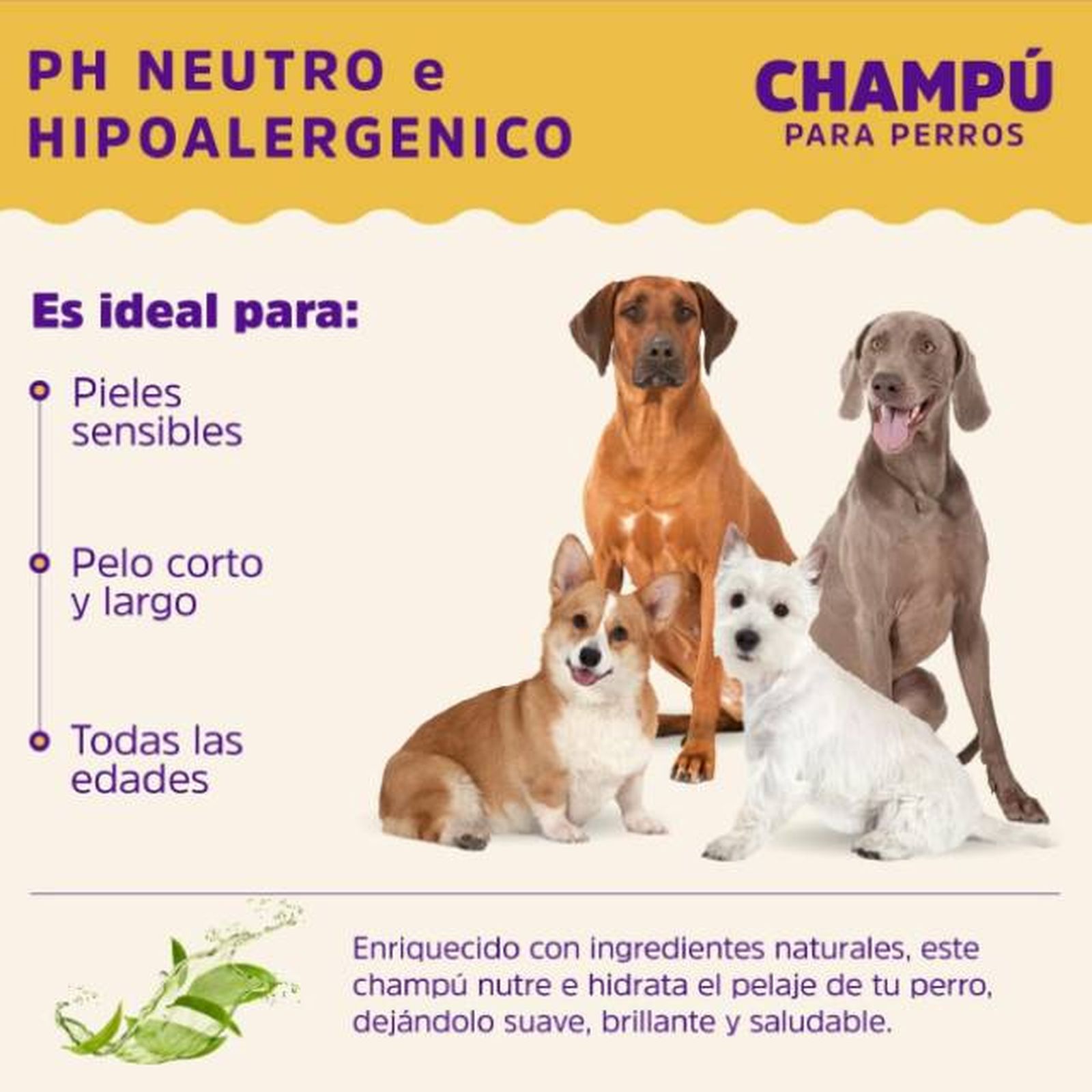champu repente para perros PH neutro hipoalergenico champu repente para perros PH neutro hipoalergenico