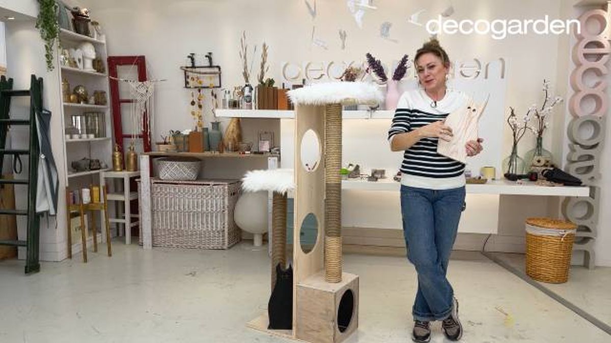 como hacer un gimnasio para gatos paso 10