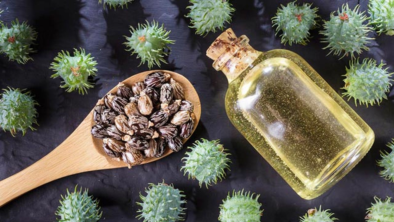 beneficios propiedades del aceite de ricino en la piel y el cabello1 beneficios propiedades del aceite de ricino en la piel y el cabello1