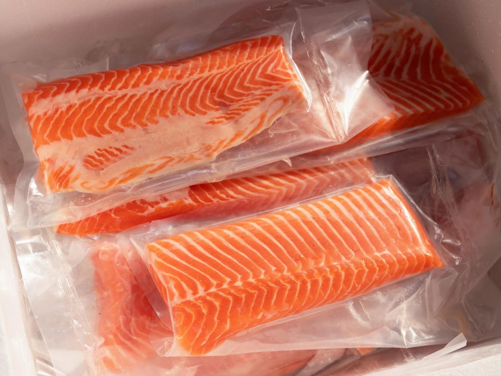 Los pescados grasos, como el salmón o el atún, se congelan muy bien