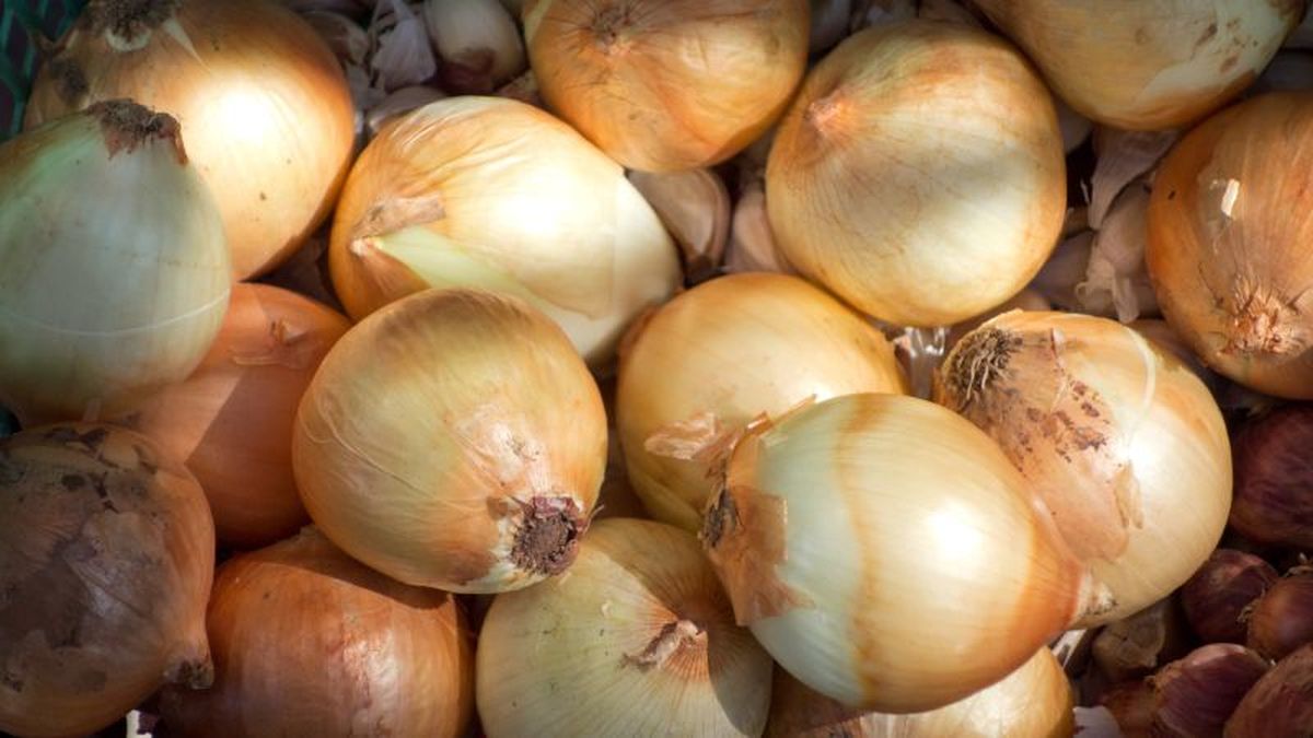 Cebollas amarillas