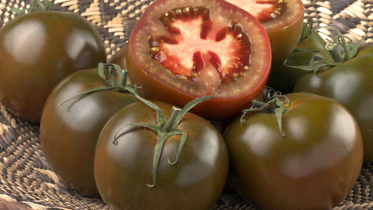 Tomate kumato