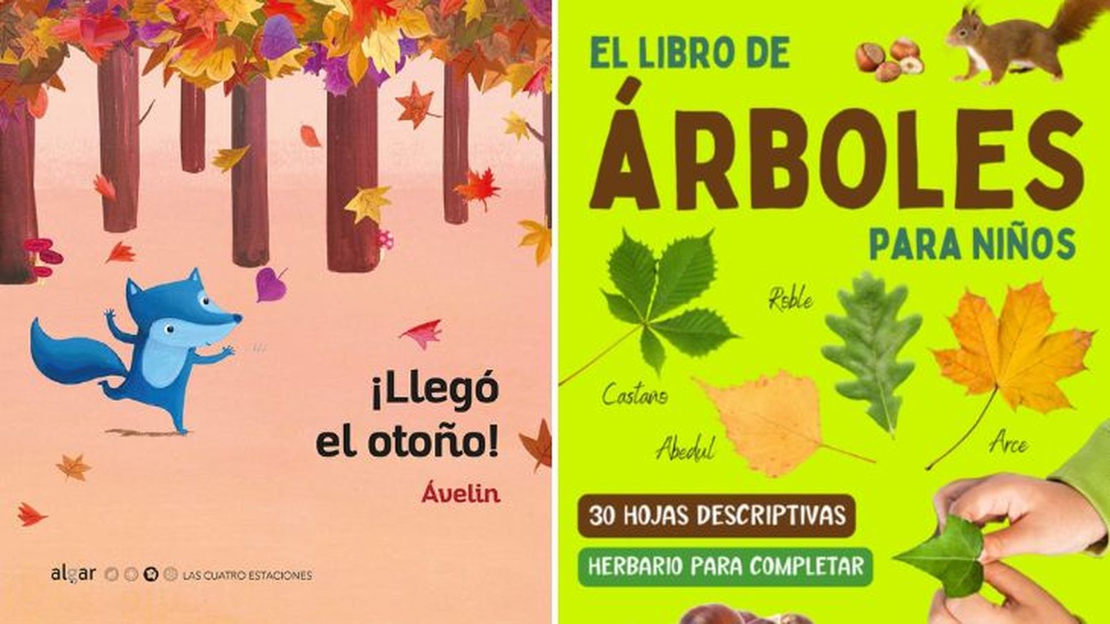 libros ninos otono amazon libros ninos otono amazon