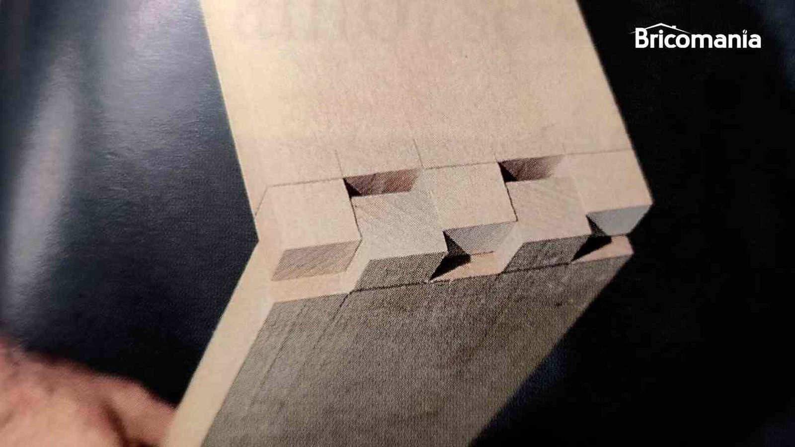 Ensamble en dentado múltiple