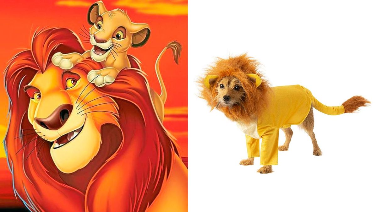 disfraces disney mascotas 5