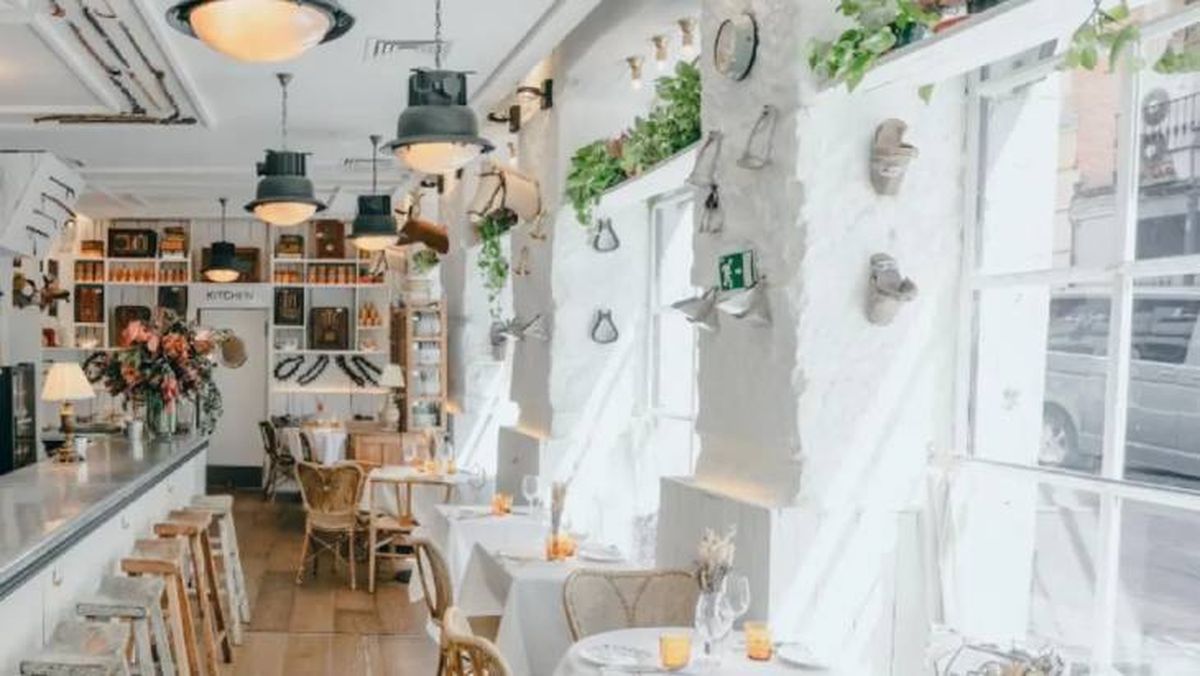 restaurantes de madrid para comer con perro galleta